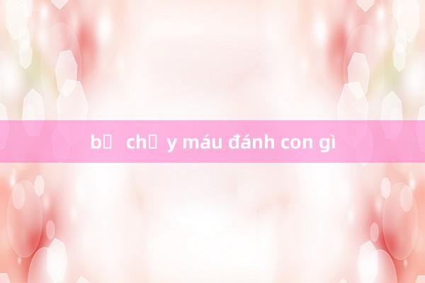 bị chảy máu đánh con gì