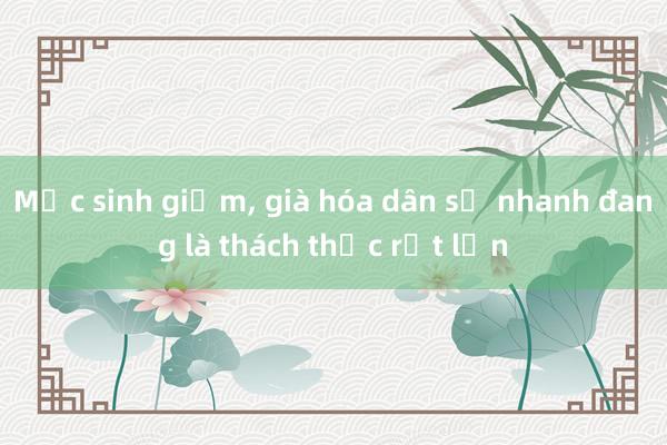 Mức sinh giảm, già hóa dân số nhanh đang là thách thức rất lớn