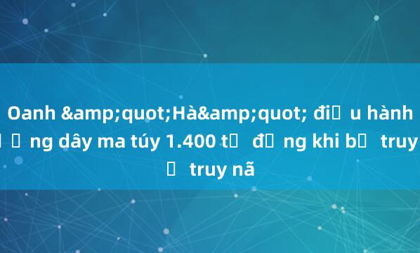 Oanh &quot;Hà&quot; điều hành đường dây ma túy 1.400 tỷ đồng khi bị truy nã