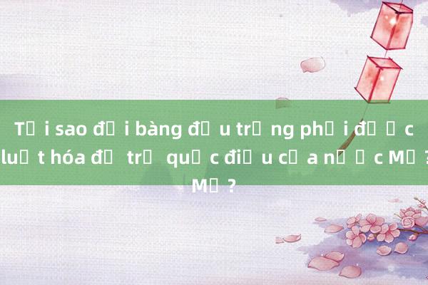 Tại sao đại bàng đầu trắng phải được luật hóa để trở quốc điểu của nước Mỹ?