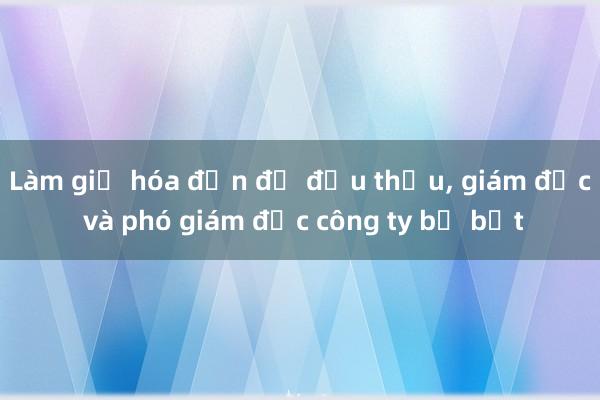 Làm giả hóa đơn để đấu thầu， giám đốc và phó giám đốc công ty bị bắt