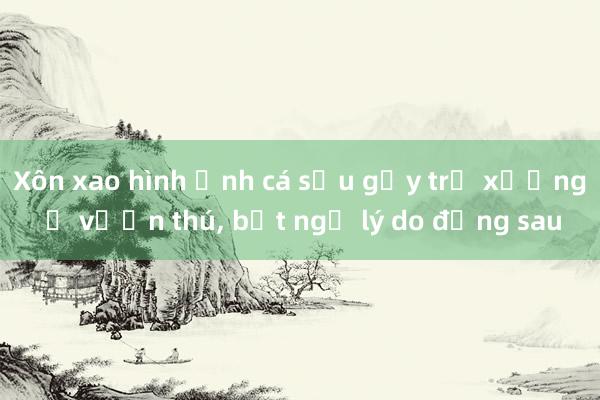 Xôn xao hình ảnh cá sấu gầy trơ xương ở vườn thú, bất ngờ lý do đằng sau